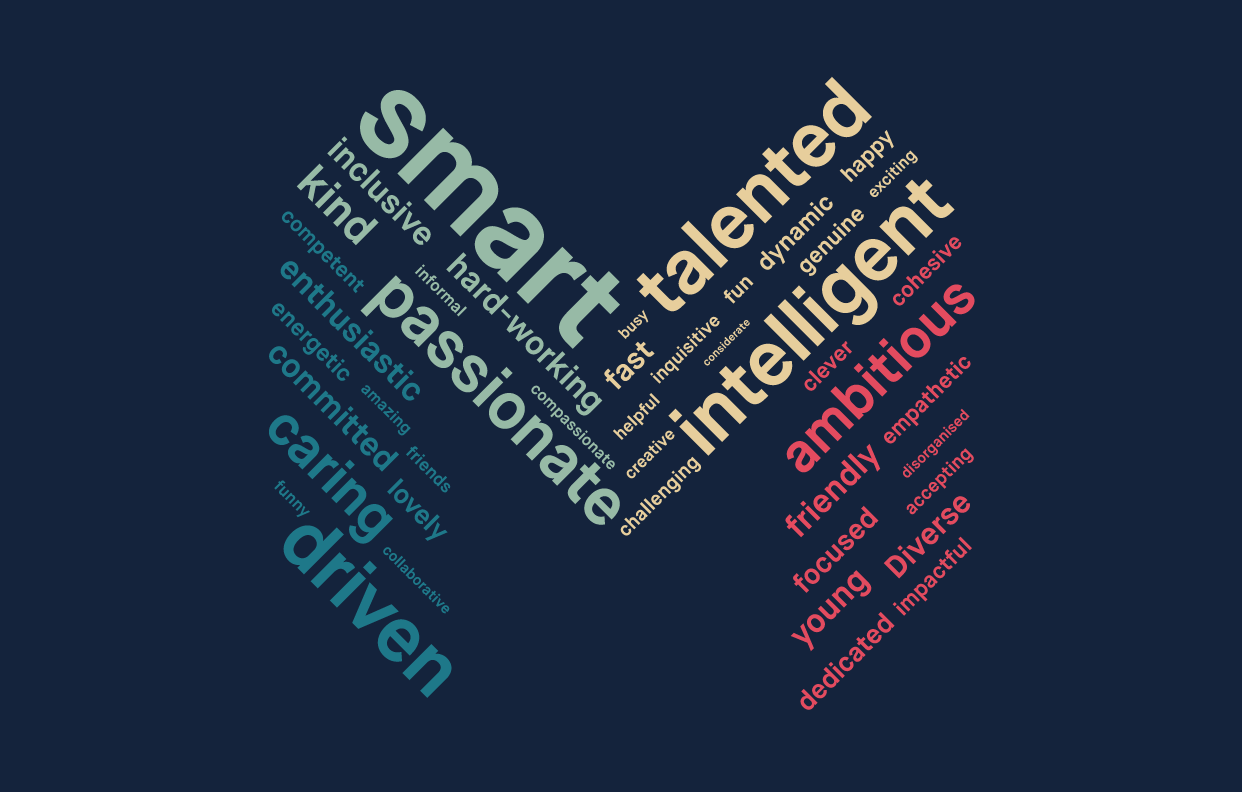 word cloud: smart, talented, passionate, intellingent, caring, driven and ambitious are prominent
