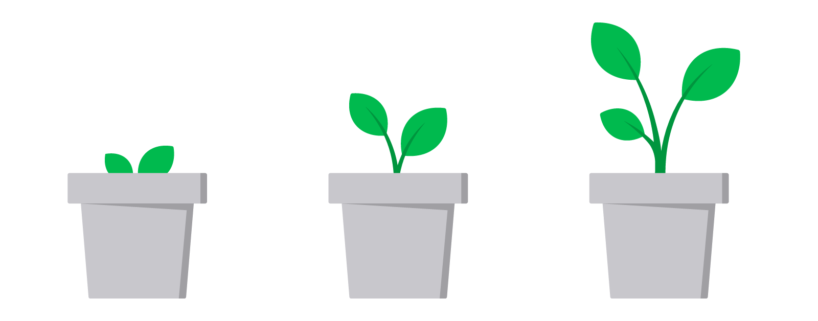 Illustration of a plant growing